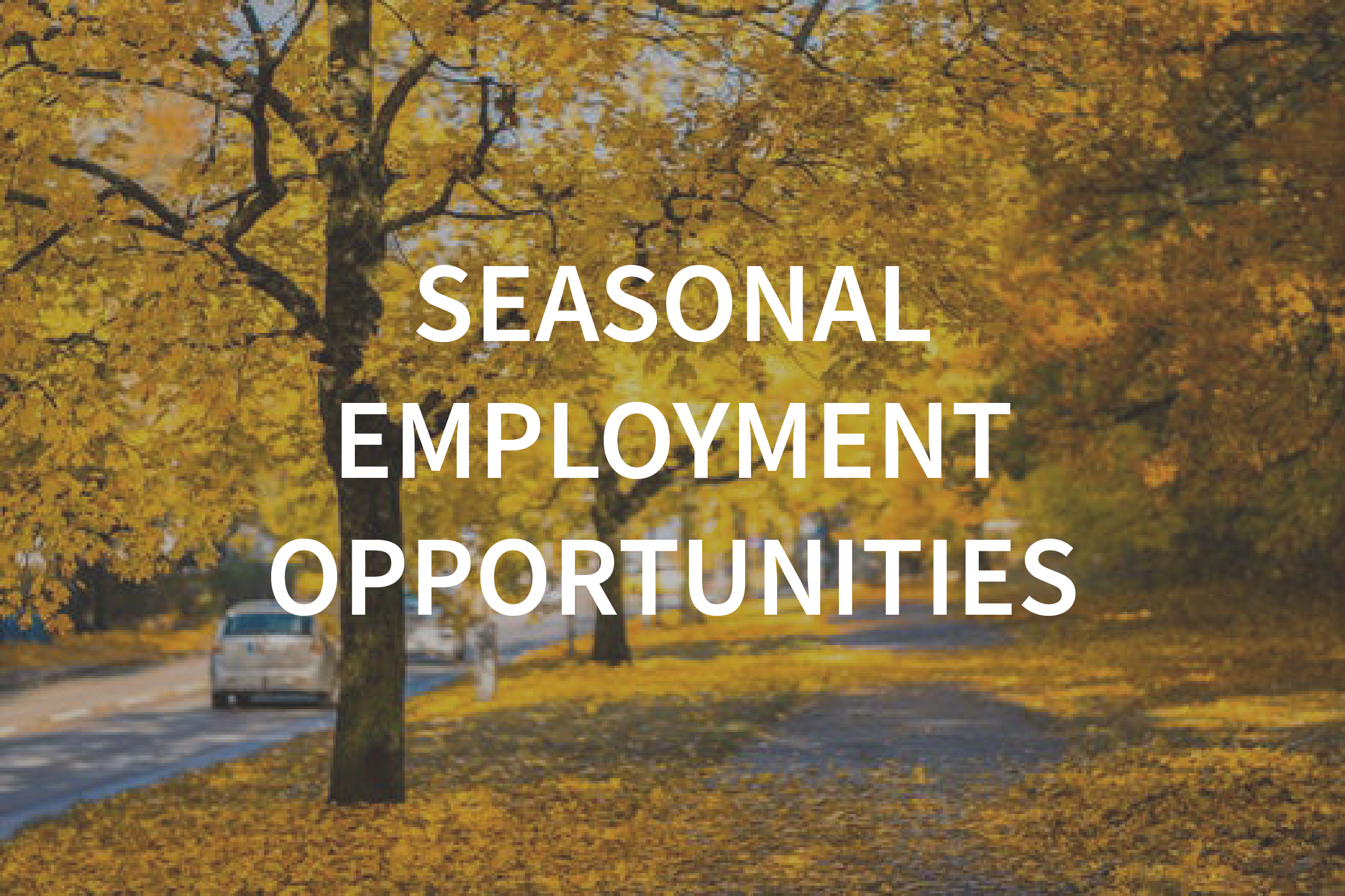 Seasonal Job Edinburgh at Lois Ciotti blog